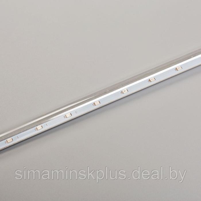 Гирлянда «Сосульки» 2.5 × 0.5 м, IP65, прозрачная нить, 288 LED, свечение тёплое белое с эффектом стекания, 12 - фото 5 - id-p222627115