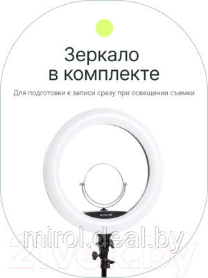 Кольцевая лампа RayLab RL-0118 Kit - фото 9 - id-p222642289