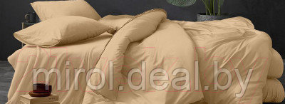 Комплект постельного белья LUXOR №13-1015 TPX 2.0 с европростыней - фото 1 - id-p222661406