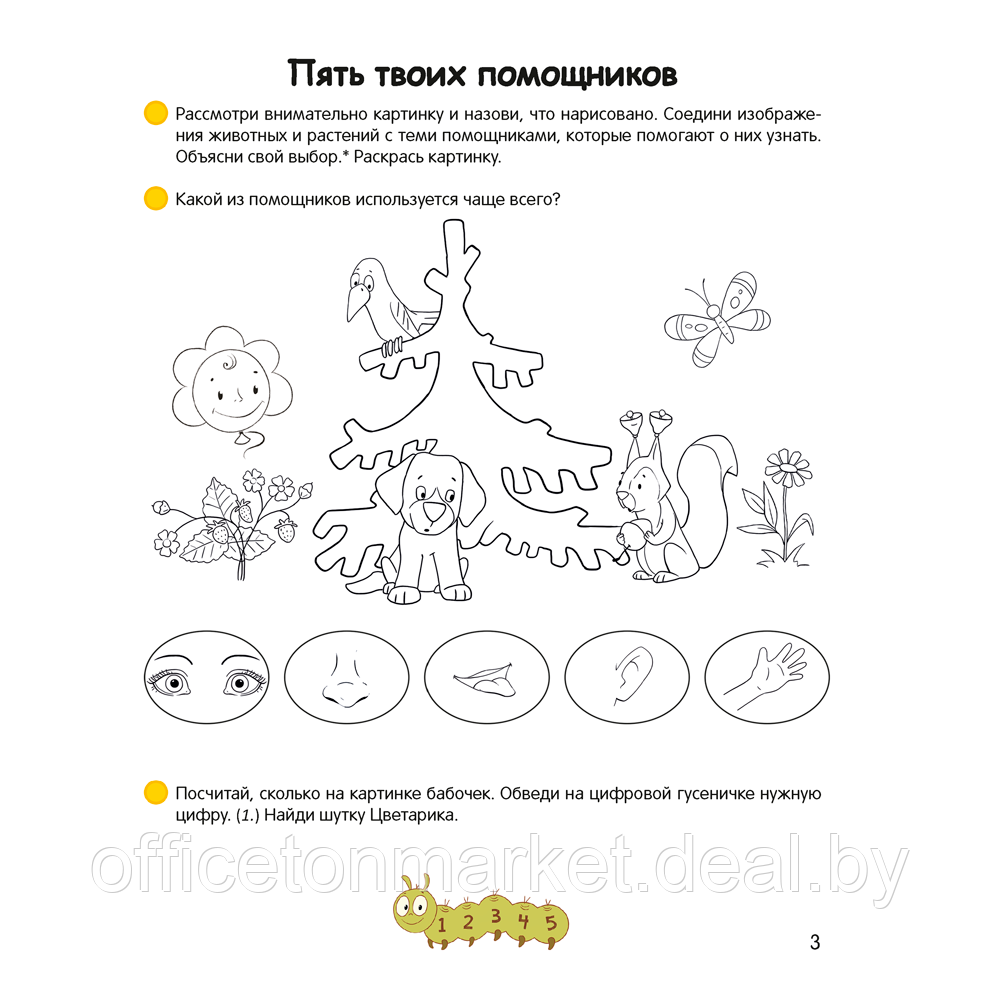 Книга "Умней-ка. 4-5 лет. Знакомство с природой", Петрикевич А. А. - фото 2 - id-p222669161