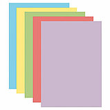 Бумага цветная DOUBLE A, А4, 80г/м2, 500л, пастель, ассорти (100л х 5цв), фото 3