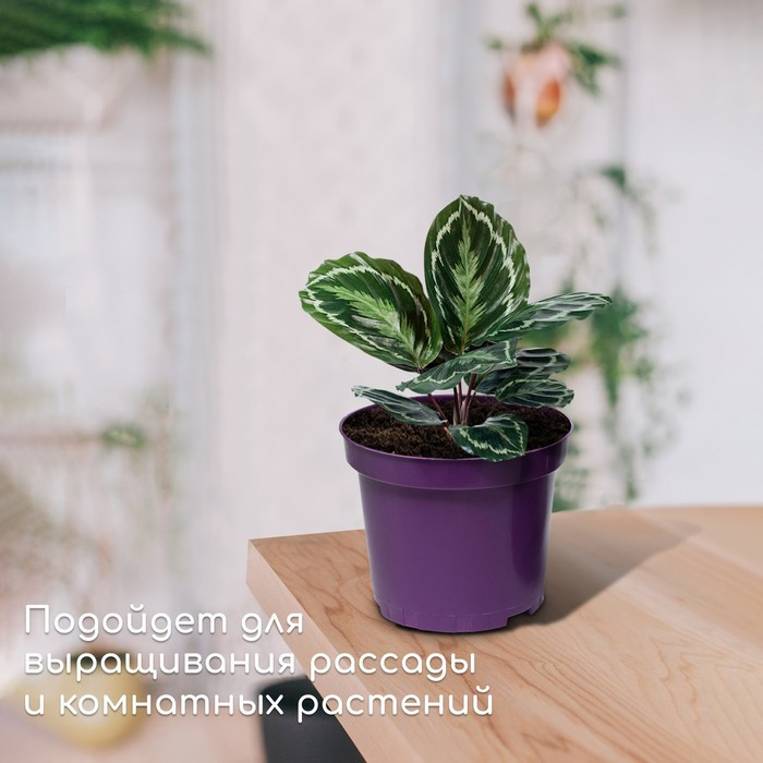 Горшок для рассады, 3 л, d = 19 см, h = 15 см, фиолетовый, Greengo - фото 3 - id-p222673556