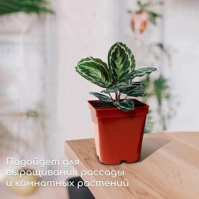 Горшок для рассады, 3 л, d = 15,5 см, h = 16,5 см, терракот, Greengo - фото 3 - id-p222673558