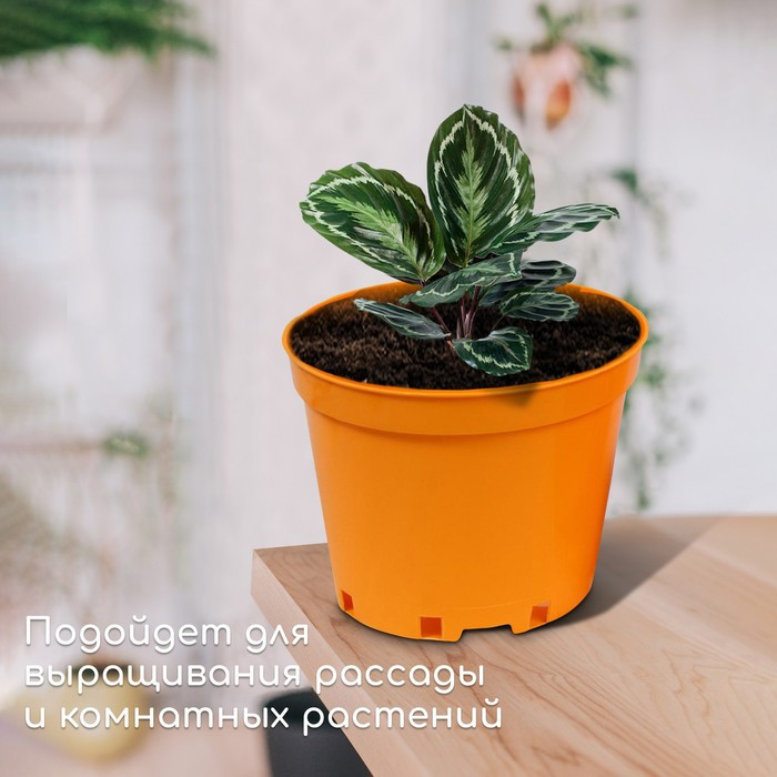 Горшок для рассады, 5 л, d = 22 см, h = 18 см, жёлтый, Greengo - фото 3 - id-p222673565