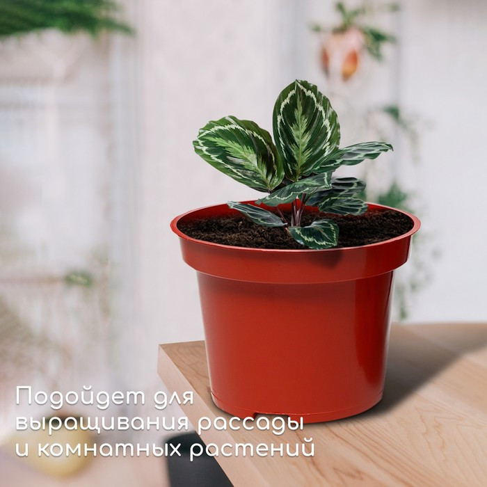 Горшок для рассады, 7,5 л, d = 25,5 см, h = 20,5 см, терракот, Greengo - фото 3 - id-p222673605