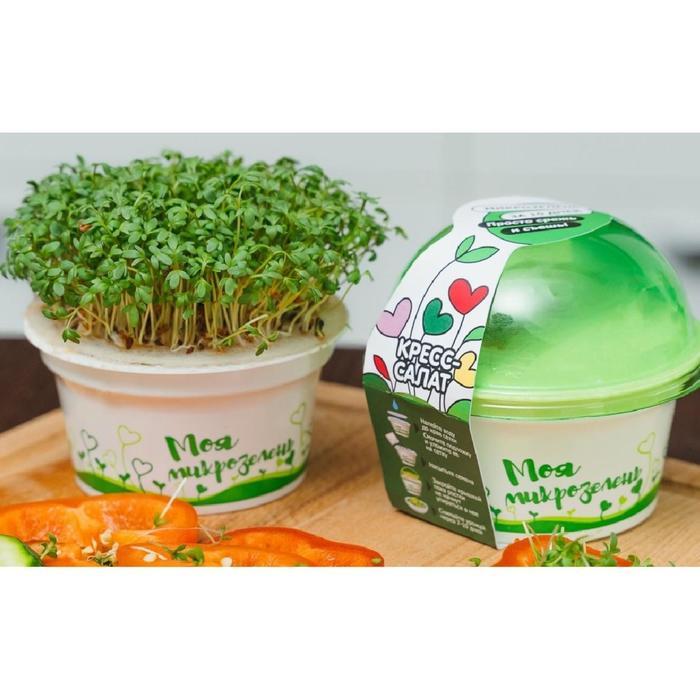 Набор для выращивания «Моя микрозелень», кресс-салат - фото 5 - id-p222673642