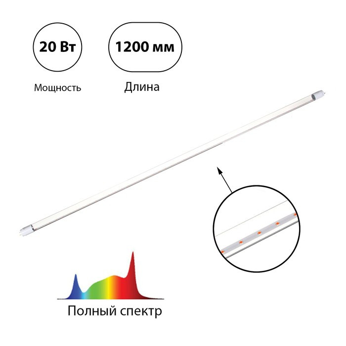 Фитолампа светодиодная, 20 Вт, 1200 мм, цоколь G13, полный спектр, LED-T8-FITO, IN HOME - фото 1 - id-p222673778