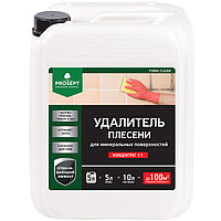 Удалитель плесени Prosept Fungi Clean, концентрат 1:1, 5 л