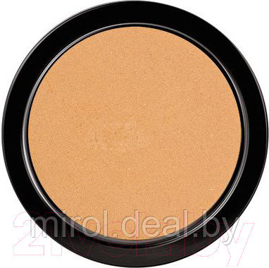 Пудра компактная Paese Illuminating Covering Powder 3С - фото 1 - id-p222691532