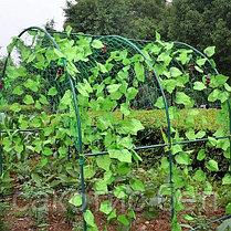 Шпалерная сетка (садовая сетка) в рулоне 2х500м, фото 3