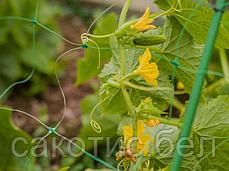 Шпалерная сетка (садовая сетка) 2х5м, фото 3