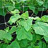 Шпалерная сетка (садовая сетка) 2х5м, фото 4