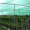 Затеняющая сетка 80% затенения 2 х 10 метра с клипсой зеленая (25шт/упк), фото 5