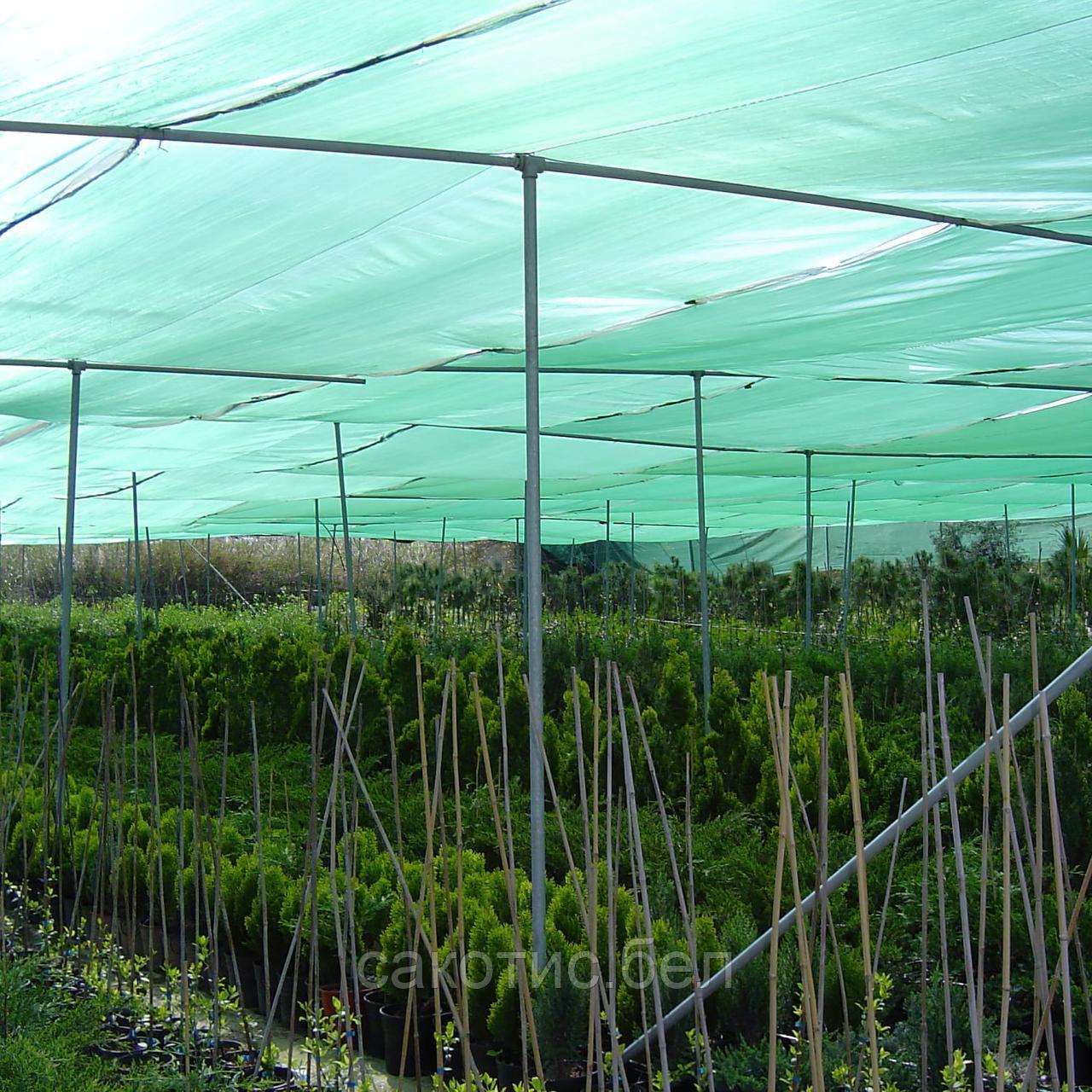 Затеняющая сетка 80% затенения 2 х 10 метра с клипсой зеленая (25шт/упк) - фото 9 - id-p222695774