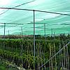 Затеняющая сетка 80%  (12х50м), фото 5