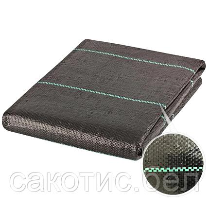 Агроткань 100 гр/м2 (с колышками 12шт) 1,5х10м черный, фото 2