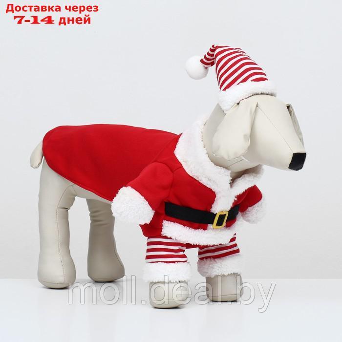 Новогодний костюм для собак "Клаус", размер S (ДС 25, ОГ 35 см) - фото 3 - id-p222698370