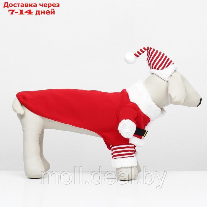 Новогодний костюм для собак "Клаус", размер S (ДС 25, ОГ 35 см) - фото 4 - id-p222698370