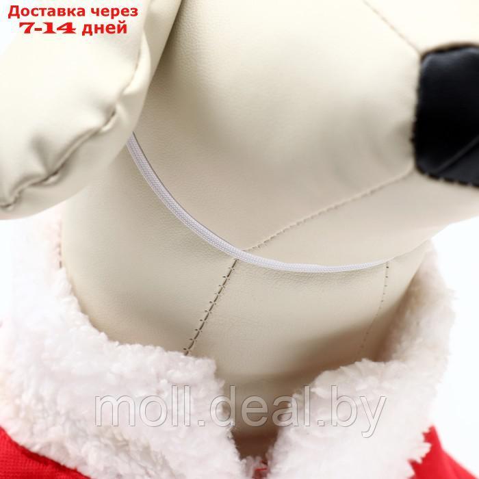 Новогодний костюм для собак "Клаус", размер S (ДС 25, ОГ 35 см) - фото 7 - id-p222698370