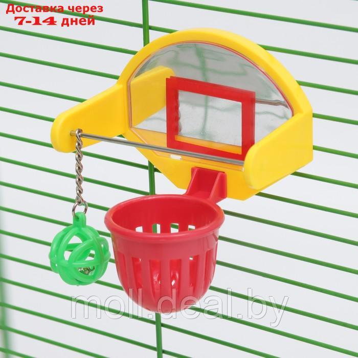 Игрушка для птиц "Баскетбольное кольцо", 9.5 х 11 х 6 см (мяч 2,5 см, корзина 4,6 см) - фото 2 - id-p222697590