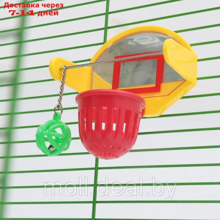 Игрушка для птиц "Баскетбольное кольцо", 9.5 х 11 х 6 см (мяч 2,5 см, корзина 4,6 см) - фото 3 - id-p222697590