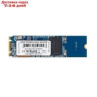 Накопитель SSD AMD Radeon M.2 2280 R5M240G8, 240Гб, SATA III