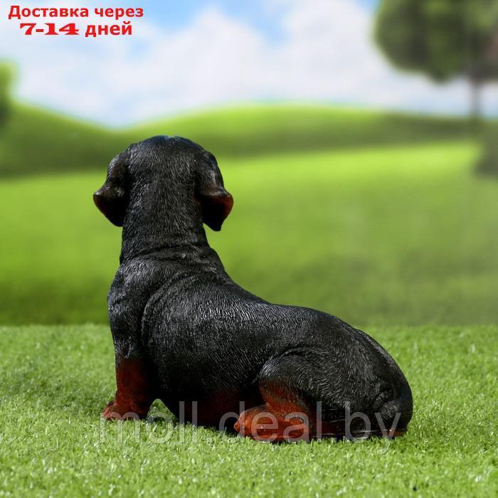 Фигура "Собака такса" черная, 20х20х12см - фото 3 - id-p222697626