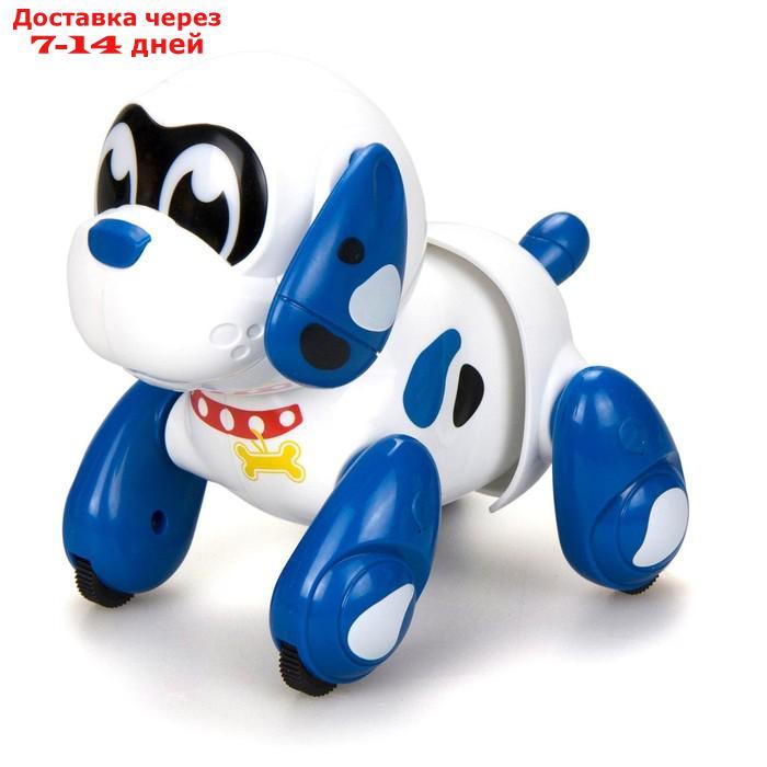 Интерактивная игрушка-робот "Собака Руффи" - фото 1 - id-p222680047
