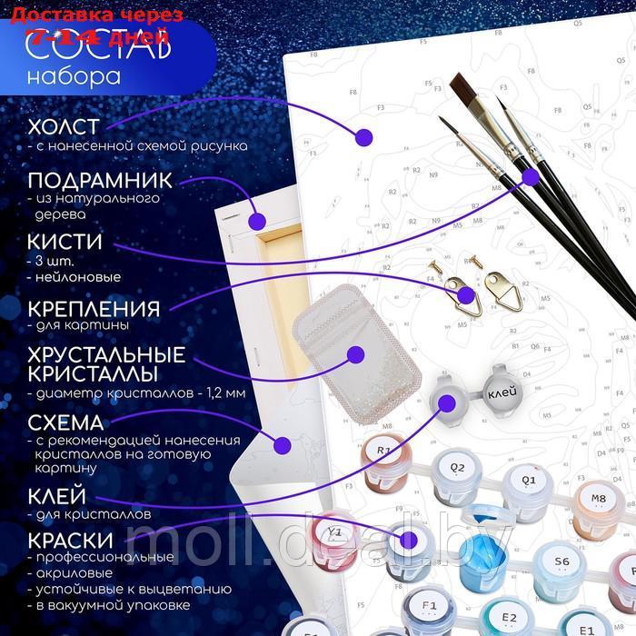 Картина по номерам с кристаллами из хрусталя 40х50 "Космический кот" (22 цвета) SHR0538 - фото 4 - id-p222698230