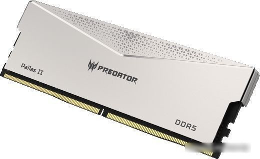 Оперативная память Acer Predator Pallas II 2x32ГБ DDR5 6000 МГц BL.9BWWR.376 - фото 2 - id-p222708825