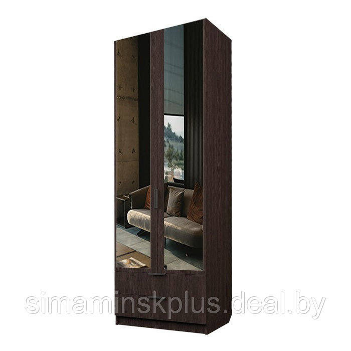 Шкаф 2-х дверный «Экон», 800×520×2300 мм, 2 ящика, зеркало, штанга и полки, цвет венге - фото 1 - id-p222710496