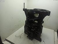 Блок цилиндров двигателя (картер) Renault Scenic 2 (2003-2009)