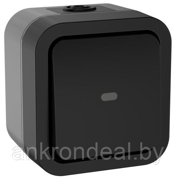 TORS Переключатель одноклавишный с индикацией 10А IP55 TS102 графит IEK - фото 1 - id-p222714376