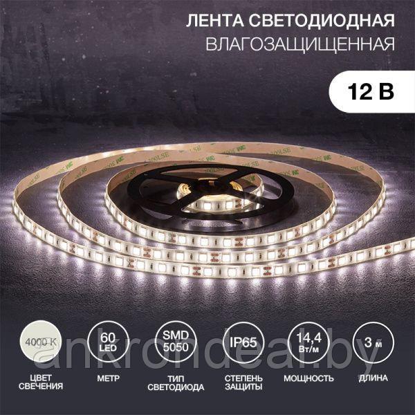 Лента светодиодная 12В, SMD5050, 14,4Вт/м, 60 LED/м, 4000К, 10мм, 3м, для БП с клеммами, IP65 LAMPER