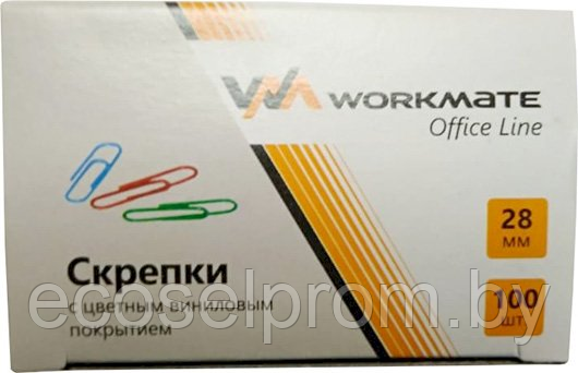 Скрепки канцелярские Workmate 28 мм, овальные, цветные с виниловым покрытием, 100 штук - фото 1 - id-p222740230