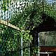 Садовая решётка 1.5*20м (40*40мм), ромб ЭКО, фото 4