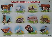 Мамы и Малыши