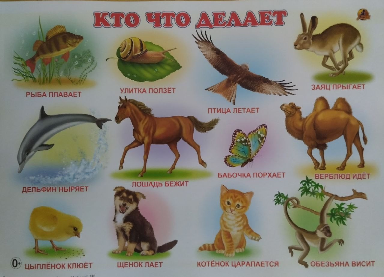 Кто что делает