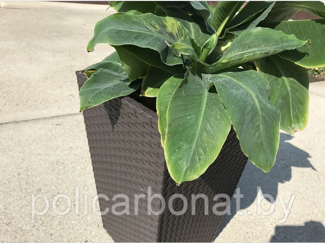 Горшок для цветов пластиковый Keter Rattan Plante 23,6л., коричневый - фото 4 - id-p222784240