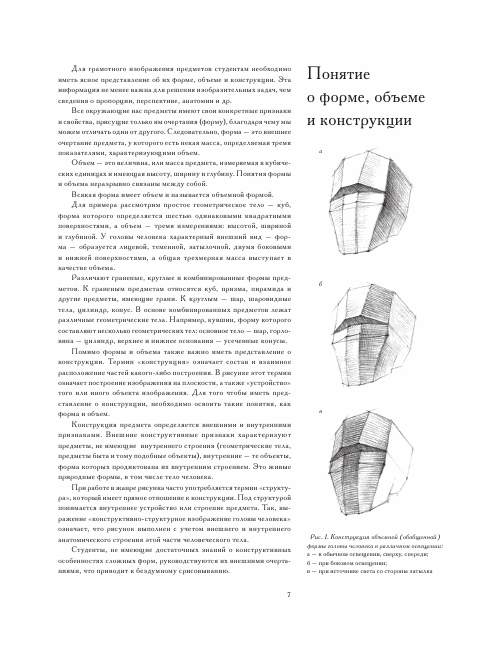 Голова человека. Основы учебного академического рисунка - фото 6 - id-p222784542