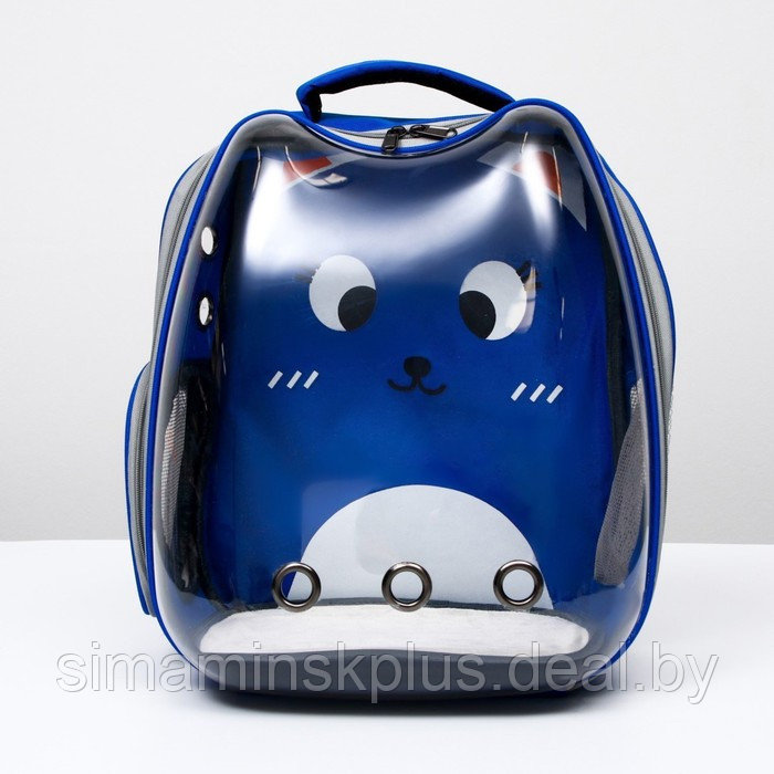 Рюкзак для переноски животных "Котик", прозрачный, 34 х 25 х 40 см, синий - фото 1 - id-p222787501