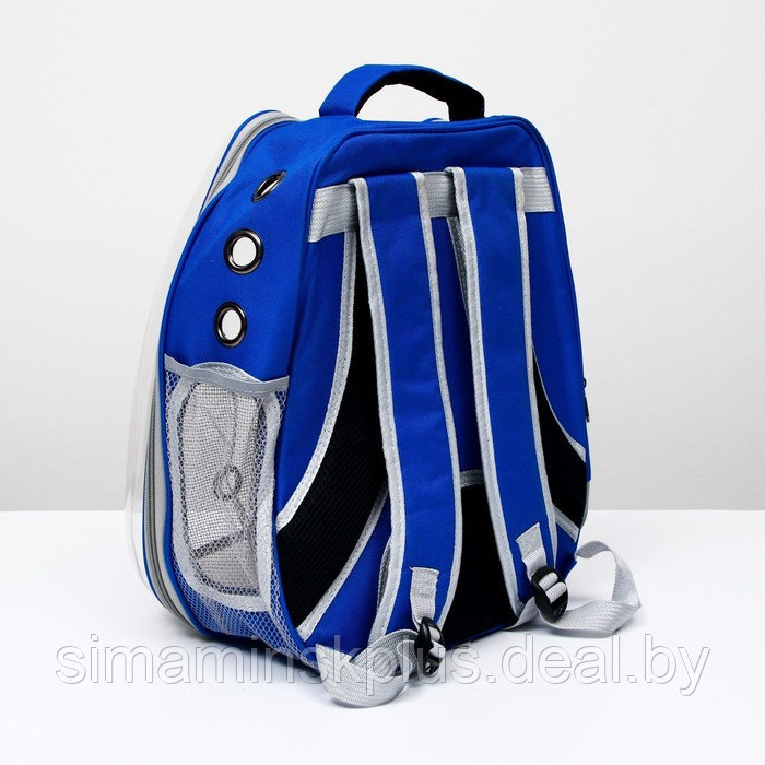 Рюкзак для переноски животных "Котик", прозрачный, 34 х 25 х 40 см, синий - фото 3 - id-p222787501