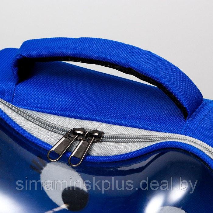 Рюкзак для переноски животных "Котик", прозрачный, 34 х 25 х 40 см, синий - фото 5 - id-p222787501