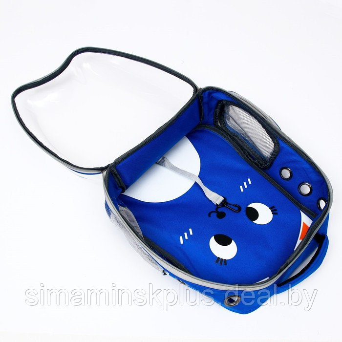 Рюкзак для переноски животных "Котик", прозрачный, 34 х 25 х 40 см, синий - фото 7 - id-p222787501