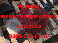 РЕМОНТ МУЛЬТИПЛИКАТОРА КЗС-1218