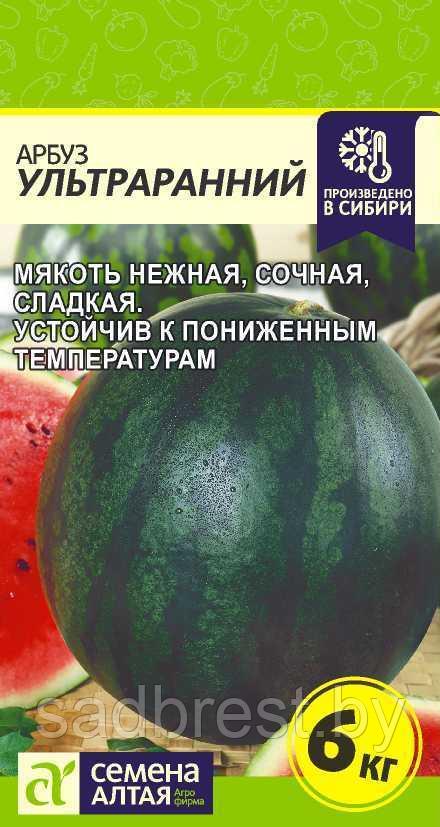 Семена Арбуз Ультраранний (1 гр) Семена Алтая - фото 1 - id-p68241404