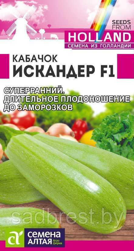 Семена кабачка Искандер F1 (5 шт) Голландские семена Семена Алтая - фото 1 - id-p68195571