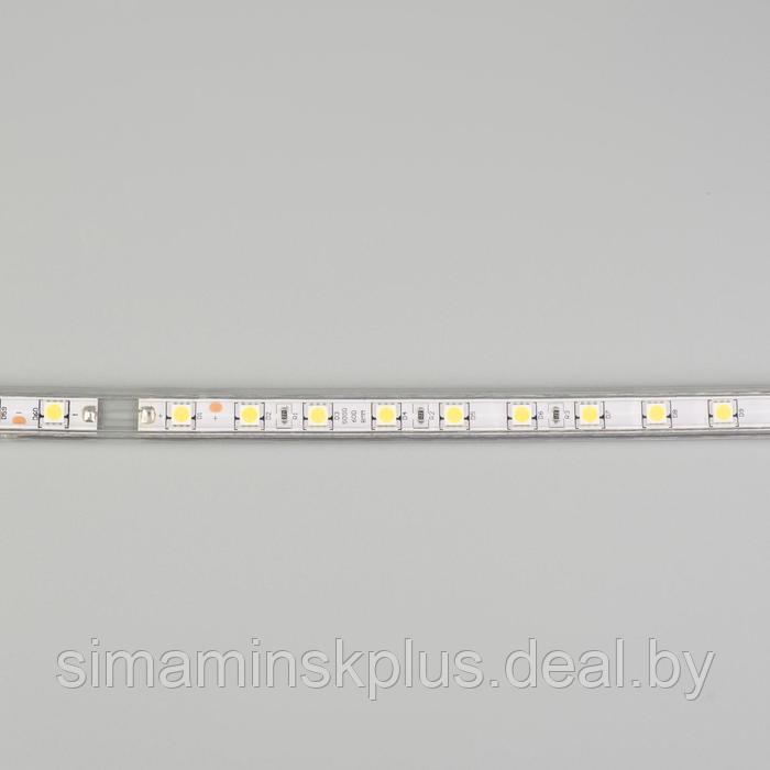Светодиодная лента Ecola STD 14 × 7 мм, 100 м, IP68, SMD5050, 60 LED/м, 14.4 Вт/м, 220 В, 6000К - фото 5 - id-p222821043