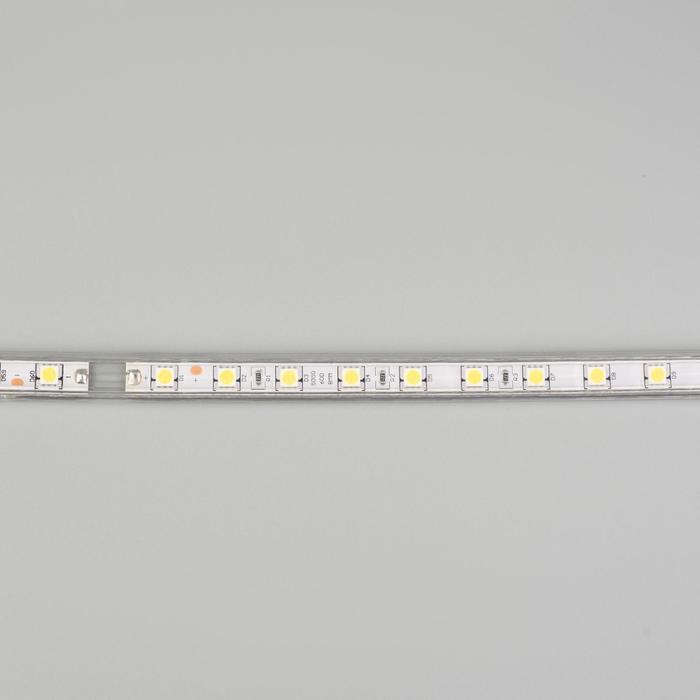 Светодиодная лента Ecola STD 14 × 7 мм, 100 м, IP68, SMD5050, 60 LED/м, 14.4 Вт/м, 220 В, 6000К - фото 5 - id-p222830799