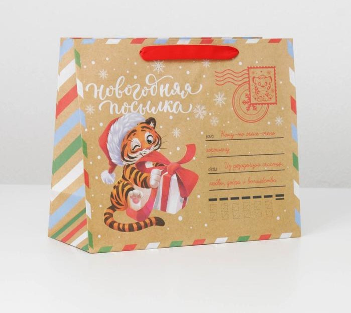 Пакет крафтовый горизонтальный «Новогодняя почта», ML 27 × 23 × 11.5 см - фото 1 - id-p222832116